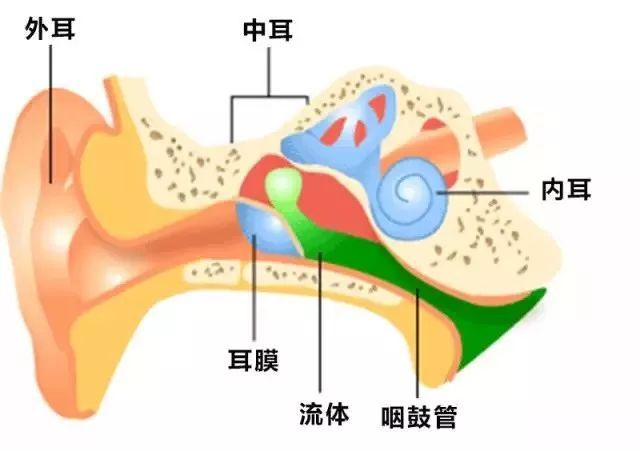 哪些原因可能導(dǎo)致中耳炎？中耳炎有哪些危害？武漢民生耳鼻喉醫(yī)院就耳鼻喉的話題在線解答