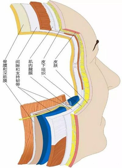 北京煤醫(yī)副主任醫(yī)師王馳：TER時(shí)光定格術(shù)多大年齡適合做？