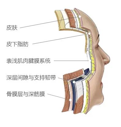 北京煤醫(yī)副主任醫(yī)師王馳：什么是TER時光定格術(shù)？