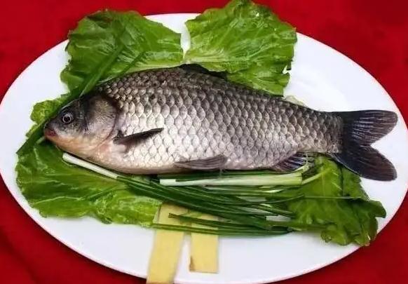 鯽魚(yú)死了多久不能吃？鯽魚(yú)可以放冰箱冷凍嗎？