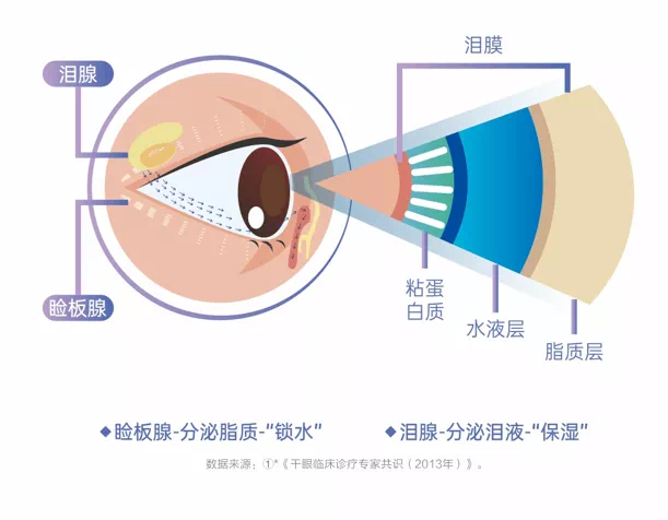 春節(jié)后，用眼過(guò)度后眼睛干澀、疲勞？到底是熱敷好還是冷敷好？——合肥愛(ài)爾