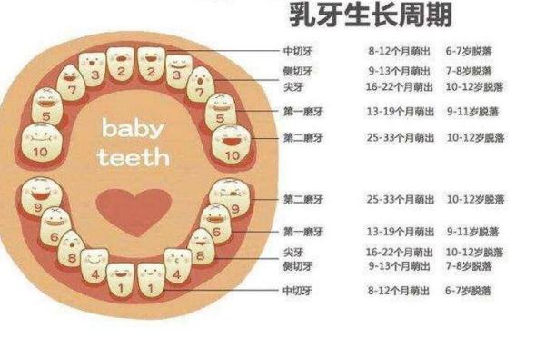 兒童磨牙怎么辦？嬰兒磨牙棒會讓牙齒畸形嗎？