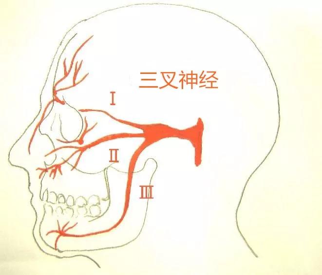 北京廣濟(jì)醫(yī)院怎么樣，三叉神經(jīng)痛會(huì)導(dǎo)致耳鳴嗎？