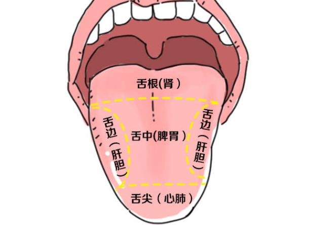 怎么從舌苔癥狀看疾病 如何根據(jù)舌苔調(diào)整飲食