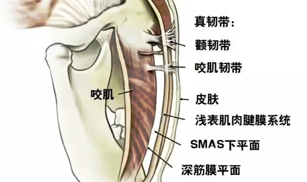 王的整形王海木：內窺鏡（拉皮除皺）提升術和普通拉皮區(qū)別