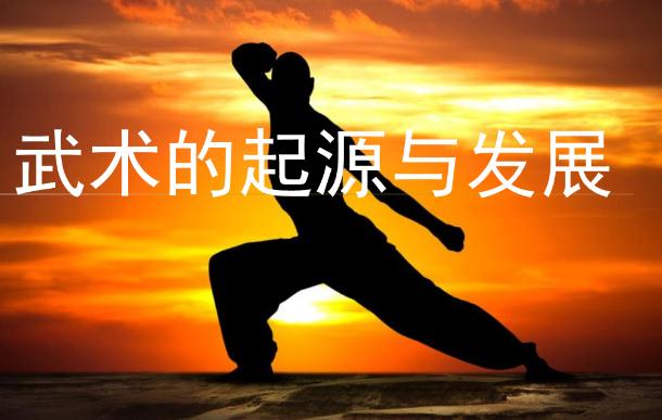 武術的發(fā)展和起源是怎么來的？武術可以鍛煉孩子什么？