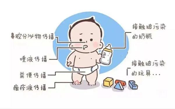 手足口病靠什么傳播途徑？手足口病怎樣預(yù)防？