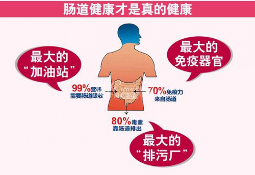 廣東民安醫(yī)院你的腸道正在面臨怎么樣的危險？