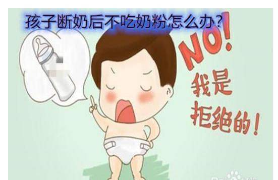 寶寶戒奶不喝奶粉怎么辦？接近母乳的奶粉有哪些？