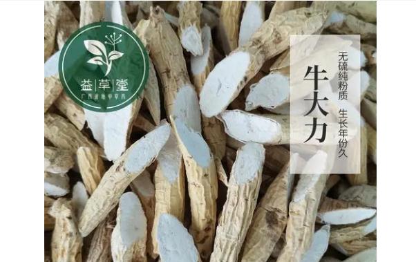 牛大力有什么功效與作用？哪些人群不宜食用牛大力？