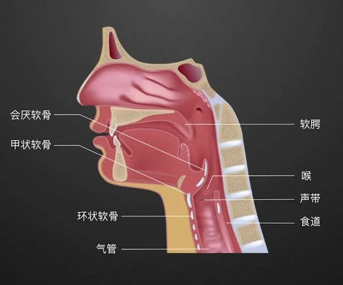 咽喉炎到底怎么回事？成都民生耳鼻喉醫(yī)院教你緩解嗓子疼！