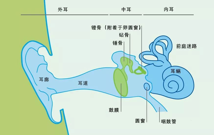 廣泛使用的藍(lán)牙耳機(jī)正在威脅你的耳朵健康嗎？