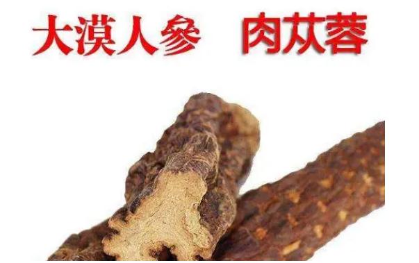 肉蓯蓉保質(zhì)期多久？新鮮肉蓯蓉怎樣清洗？