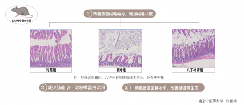 如何用中醫(yī)藥抗衰老？吳以嶺教授給出有效防治策略