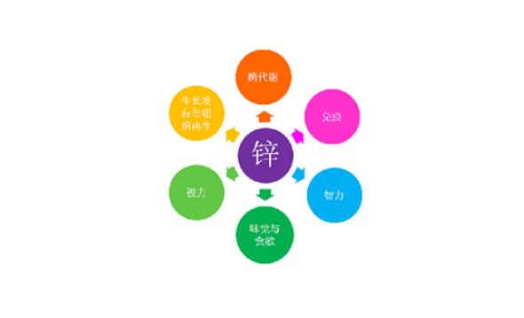 補(bǔ)鋅有什么作用？鋅什么時(shí)間吃吸收最好？