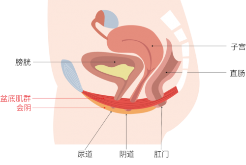 重慶女性做私密緊致除了手術(shù)還可以選擇哪些方式？