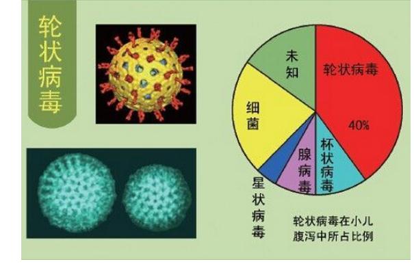 輪狀病毒發(fā)病有哪些特點？感染輪狀病毒后可以吃什么？