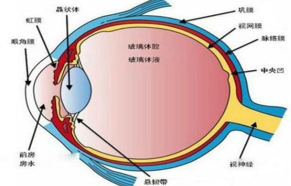 白內(nèi)障什么時(shí)候做手術(shù)合適 創(chuàng)傷性白內(nèi)障怎么治療