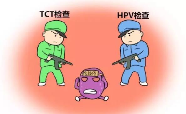 女性得hpv吃什么原因 tct和hpv有什么區(qū)別