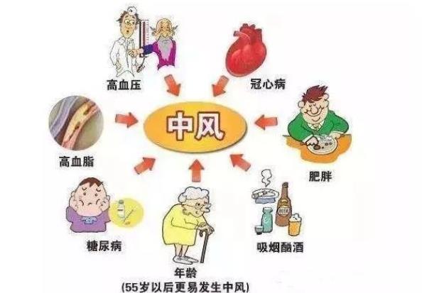 中風(fēng)后還會(huì)第二次發(fā)生中風(fēng)嗎 第二次中風(fēng)可以恢復(fù)嗎