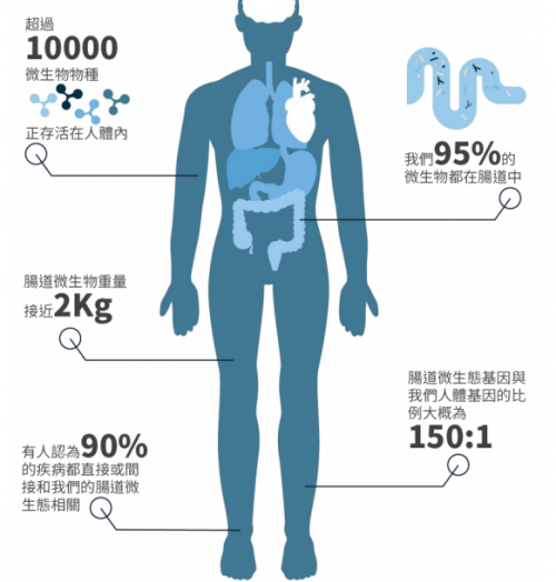 濕敏又有了新希望，PGut讓百億“益生菌”為你打工！