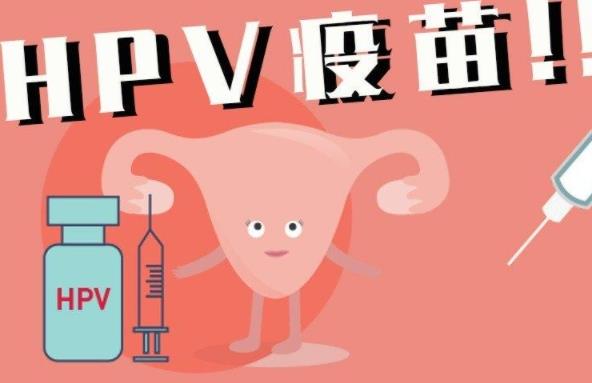 九價(jià)hpv疫苗可以用醫(yī)保嗎 九價(jià)hpv疫苗多少錢