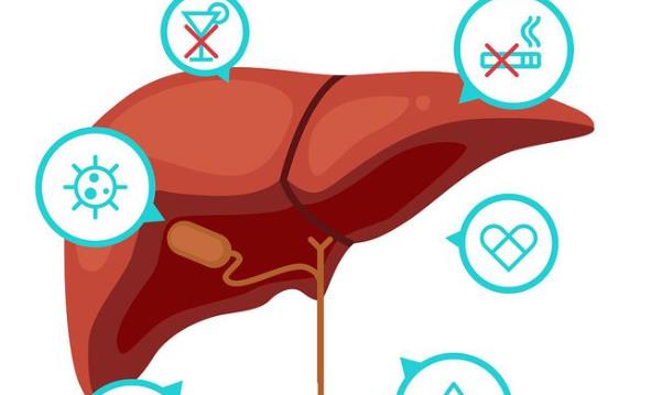肝臟彌漫性改變是肝硬化嗎 如何預(yù)防肝硬化
