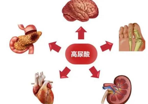 尿素正常尿酸高怎么回事 尿酸低是怎么回事