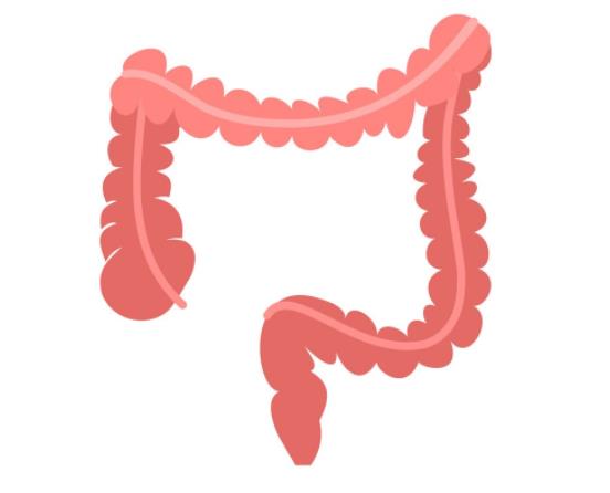 如何治好結(jié)腸炎 如何確診結(jié)腸炎